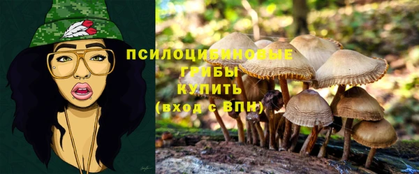 кристаллы Нея