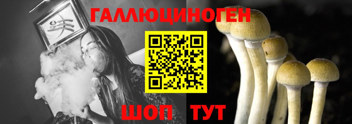 Псилоцибиновые грибы ЛСД  как найти   Кимры  Вход с VPN 