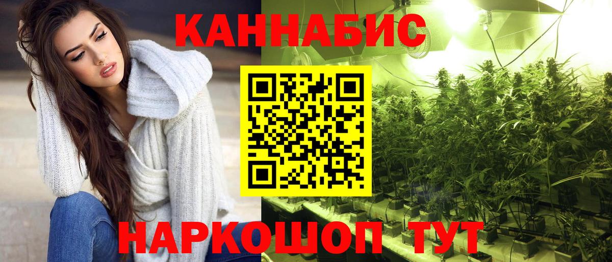 Кимры  Марихуана OG Kush  Каннабис гибрид  Вход с VPN  Каннабис семена 